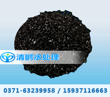 �����w������̿