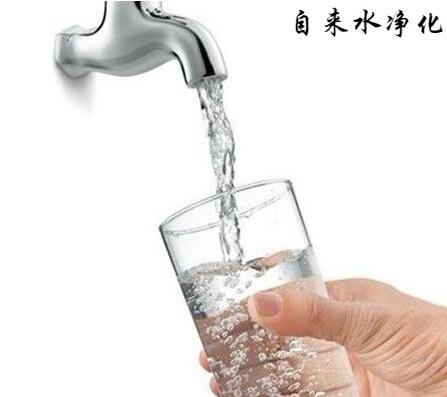 自來水凈化果殼活性炭—0371-63239958 自來水凈化果殼活性炭—0371-63239958